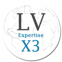 L.V. Expertise X3 logo - Similar company to Plugin X3