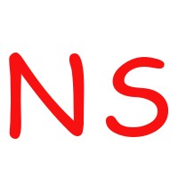 National Strategy logo - Similar company to Erpro Pc