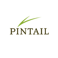 Pintail logo - Similar company to Realop