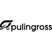Pulingross Srl logo - Similar company to Ica System