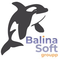 BalinaSoft Groupp logo - Similar company to Paramount Education