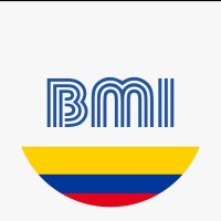 BMI Seguros Colombia logo - Similar company to Micro Risk Solutions