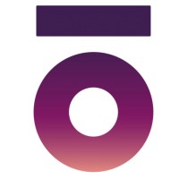 Vision iO AS logo - Similar company to Flowpro Dynamics