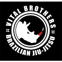 Vital Brothers Brazilian Jiu Jitsu LLC logo - Similar company to University Of Minnesota Brazilian Jiu-Jitsu Club
