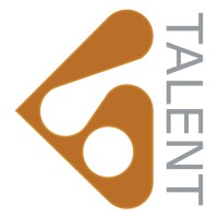 Blackstone Talent Group logo - Similar company to Blackstone Technology Group