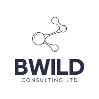 BWild Consulting Ltd logo - Similar company to Steinfl + Bruno, Llp