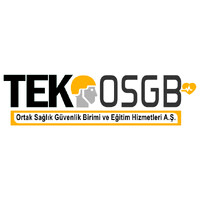 TEK OSGB logo - Similar company to Inturn Platform