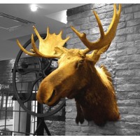 Le Caribou Opticiens logo - Similar company to Everlab Group