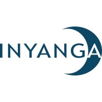 Inyanga Marine Energy Group logo - Similar company to Mintmech Specialist Engineers