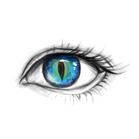 TMRC Impact - Narrative Acuity logo - Similar company to Trust Studio