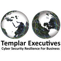 Templar Executives logo - Similar company to Maritemex