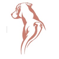 Ridgeback Projects Ltd logo - Similar company to Ridgeback Consulting Limited