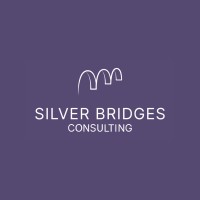 Silver Bridges Consulting logo - Similar company to Founders Unplugged