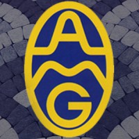 Arabian German Co. Ltd. logo - Similar company to Marvel International