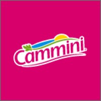 Cammini Panificação logo - Similar company to Vorhaben Engenharia