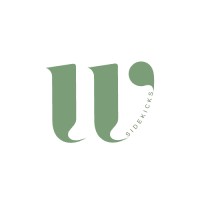 Willow Sidekicks logo - Similar company to Level Up Creators