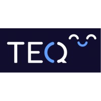 TEQ Investments logo - Similar company to Fall Forward, Llc