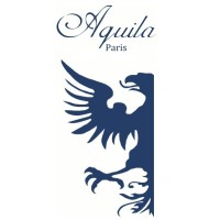 AQUILA Paris logo - Similar company to Realitycad