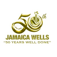 Jamaica Wells & Services Limited logo - Similar company to X Firstrock Group X