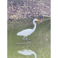 Pumptrackbaan logo - Similar company to Parkitect Ag