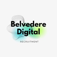 BELVEDERE DIGITAL logo - Similar company to Eco Tech Home