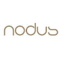 Nodus Group logo - Similar company to Fieldstone