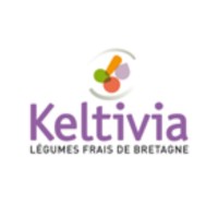 Keltivia, Kulture29 logo - Similar company to Celtileg