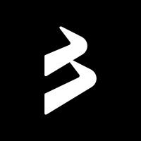 BlackBull Markets logo - Similar company to Villo.Design