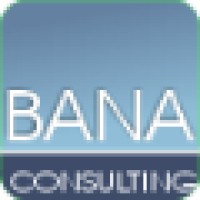 BANA Consulting logo - Similar company to Decision Eyes