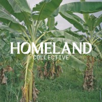 HOMELAND logo - Similar company to Hac, Inc.