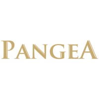 Pangea Consulting logo - Similar company to Stockalgos