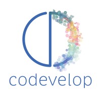codevelop logo - Similar company to Codevelop Technologies