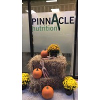Pinnacle Nutrition logo - Similar company to Pinnacle Nutrition Group