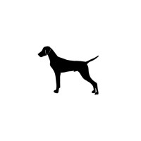 Gingerboy logo - Similar company to Ruff-It.Co.Uk
