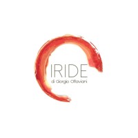 Iride di Giorgio Ottaviani logo - Similar company to Mg Geomatics