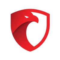 Kosova Drone Solutions logo - Similar company to Ftavi