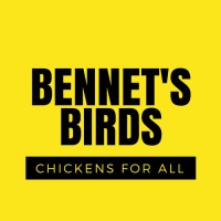 Bennet's Birds logo - Similar company to Solid State Group