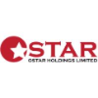 OSTAR Holdings logo - Similar company to Teamoneconsulting