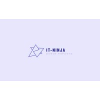 IT-NINJA logo - Similar company to It Ninjas