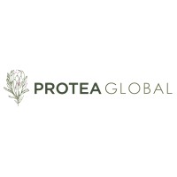 Protea Global logo - Similar company to I3 Profiling