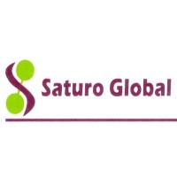 Saturo Global logo - Similar company to Datasolve Inc