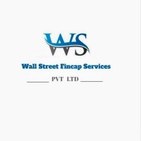 WALL STREET FINCAP SERVICES PRIVATE LIMITED logo - Similar company to Saviour Finance