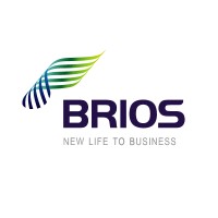 BRIOS Consulting LLP logo - Similar company to Hiringlink Solutions