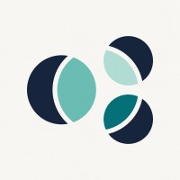 Bluestage logo - Similar company to Pole Consulting