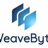 Weavebyte Solutions Private Limited logo - Similar company to Xgate Solutions