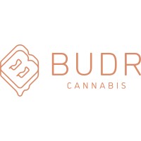 Budr Cannabis logo - Similar company to Higher Collective Stores