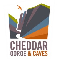 Cheddar Gorge and Caves logo - Similar company to The Curious Network Uk