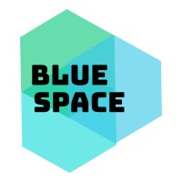 Bluespace Infotech logo - Similar company to Vishfa Digital Solutions Pvt Ltd