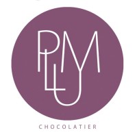 Plum Chocolate logo - Similar company to Black And Yellow Chocolate & Events