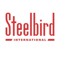 Steelbird International logo - Similar company to Mt Group